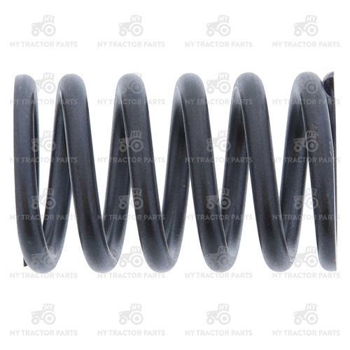 Valve Spring